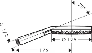 Душевая лейка Hansgrohe Raindance Alive Select S 24500670 черный